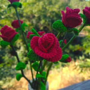 Taller de Tejido a Crochet de rosas (10 personas)