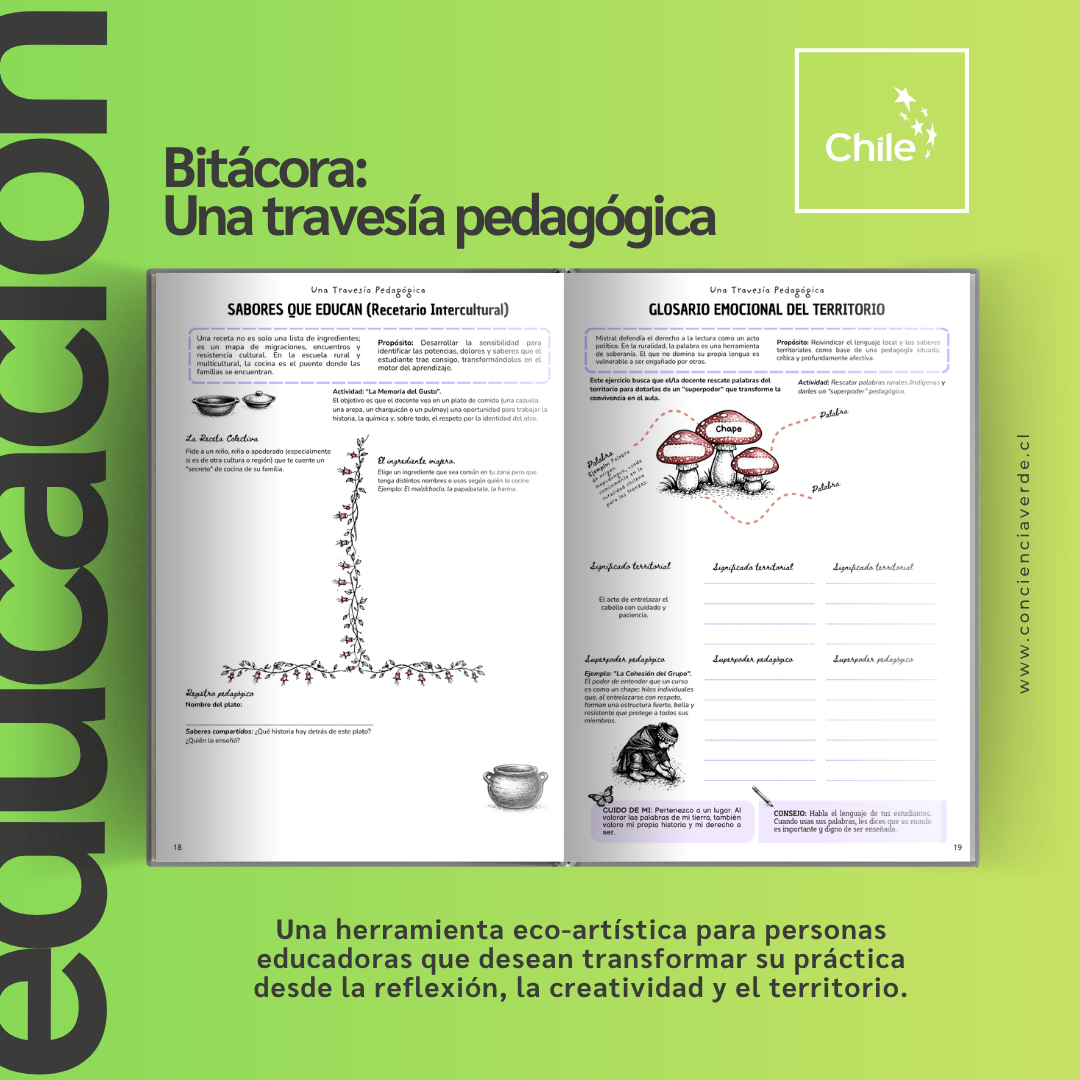 Escalando Conciencia Verde: De la mediación artística a una EdTech con raíces en lo real